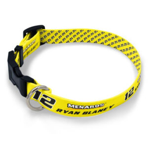 RB Pet Collar