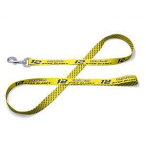 RB Pet Leash