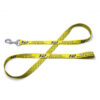RB Pet Leash